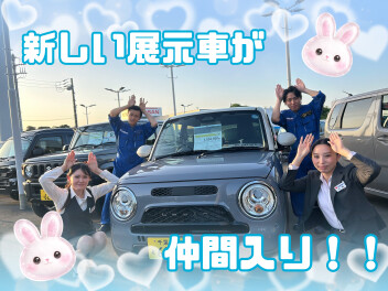 新しい展示車が仲間入りしました(*^^)v